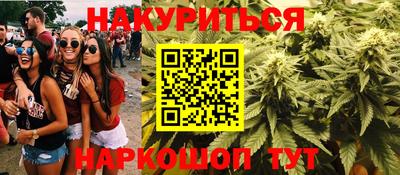 стаф Кингисепп