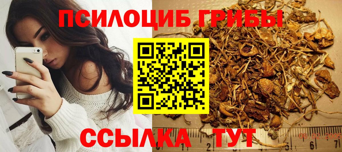 Псилоцибиновые грибы GOLDEN TEACHER  Вход с VPN  Озёрск 