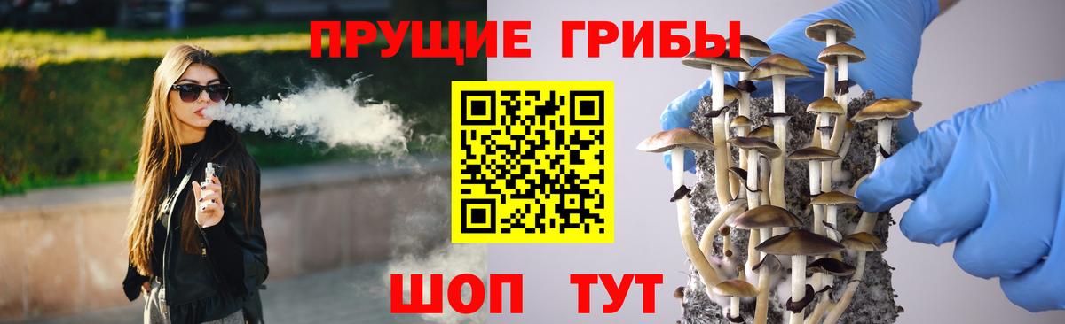 Псилоцибиновые грибы ЛСД Озёрск
